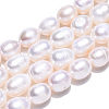 Natural Cultured Freshwater Pearl Beads Strands X-PEAR-L001-C-03-2