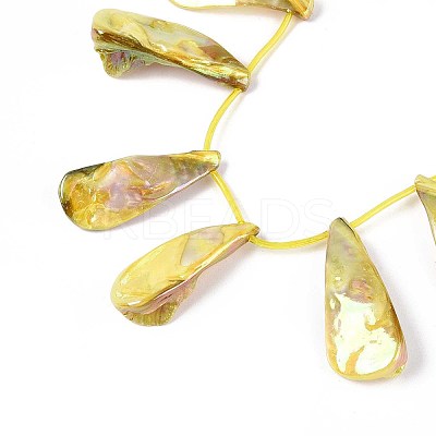 AB Color Plated Dyed Natural Freshwater Shell Beads Strands SHEL-T020-55D-1