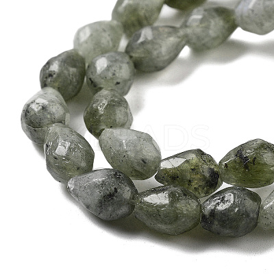 Natural Labradorite Beads Strands G-P520-B05-01-1