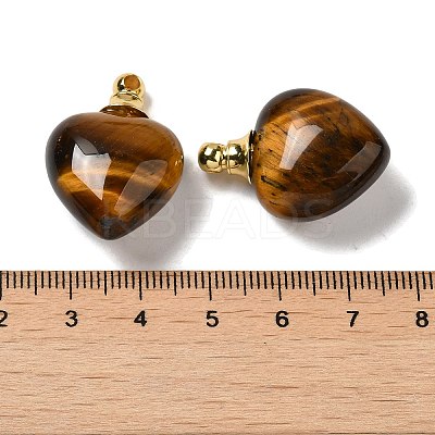 Natural Tiger Eye Perfume Bottle Pendants G-Z039-03G-05-1