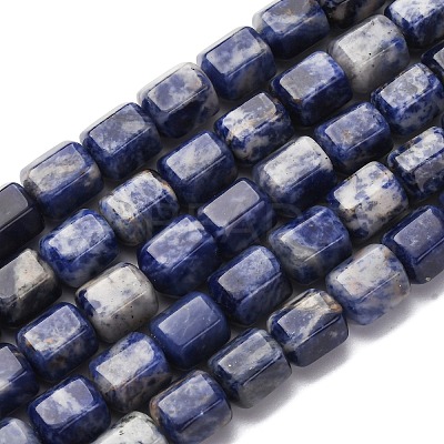 Natural Sodalite Beads Strands G-R015-A03-1