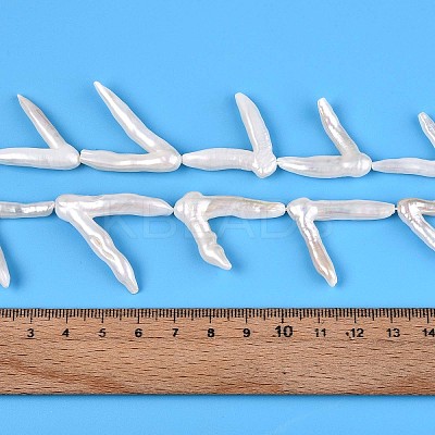 Natural Baroque Pearl Keshi Pearl Beads Strands PEAR-N021-16A-1