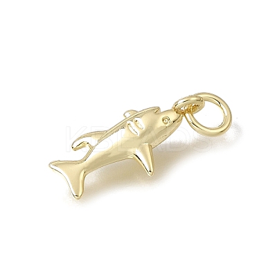 Brass Pendants KK-CBA79EB-05C-G-1