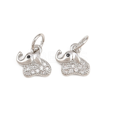 Brass Micro Pave Clear Cubic Zirconia Charms KK-H292-56C-P-1