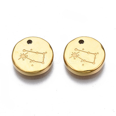316 Surgical Stainless Steel Charms STAS-S116-418E-G-1