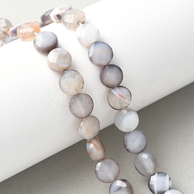 Natural Grey Botswana Agate Beads Strands G-C179-A50-03-1