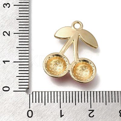 Alloy Acrylic Pendants FIND-M041-07-1