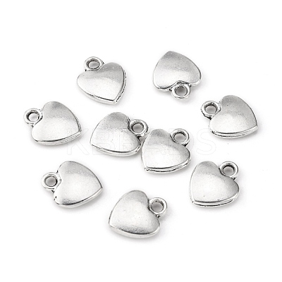 Tibetan Style Alloy Charms LF1170Y-1