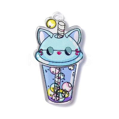 Transparent Printed Acrylic Pendants TACR-G042-01E-1