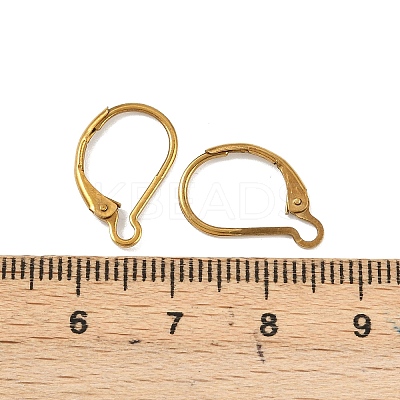 Ion Plating(IP) 304 Stainless Steel Leverback Earring Findings STAS-K233-04G-01A-1