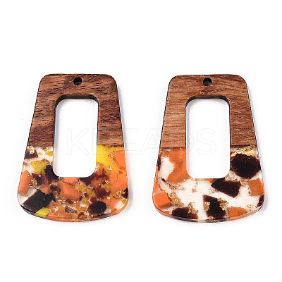 Transparent Resin & Walnut Wood Pendants RESI-TAC0017-72-A03-1
