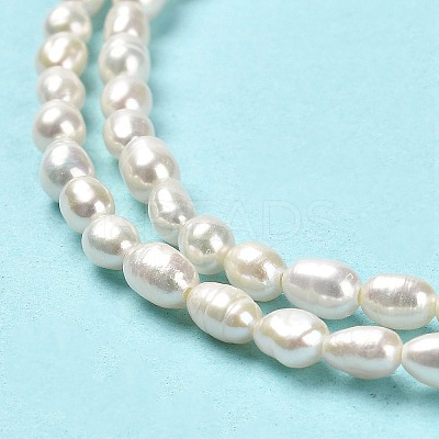 Natural Cultured Freshwater Pearl Beads Strands PEAR-E016-124-1