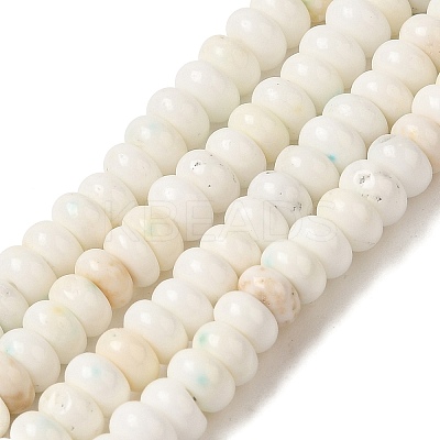 Natural Magnesite Beads Strands G-D474-02B-1