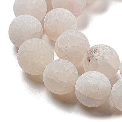 Natural Weathered Agate Beads Strands G-P538-A01-14-1