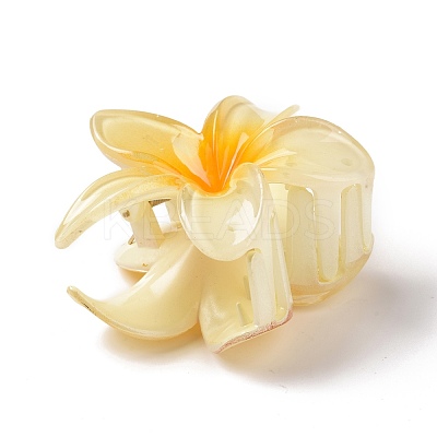 Plastic Claw Hair Clips OHAR-P020-08C-1