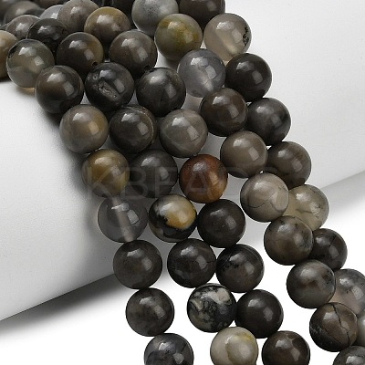 Natural Volcanic Agate Beads Strands X-G-G305-A01-8mm-1