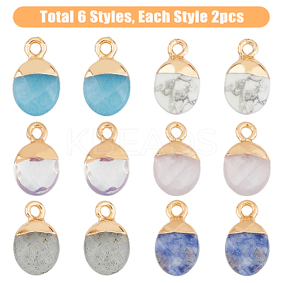12Pcs 6 Styles Electroplated Natural & Synthetic Mixed Gemstone Faceted Oval Charms G-FH0002-15-1