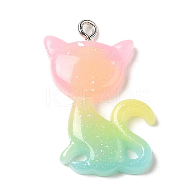 Translucent Resin Pendants RESI-G069-03C-1