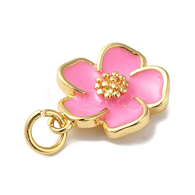 Rack Plating Brass Enamel Charms KK-O142-56G-04-1