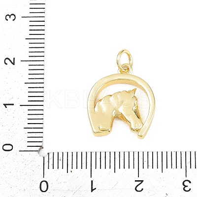 Brass Pendants KK-D258-29G-1