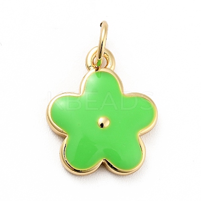 Rack Plating Brass Enamel Charms KK-G387-09G-08-1