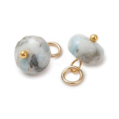 Natural Larimar Pendants PALLOY-JF05885-1