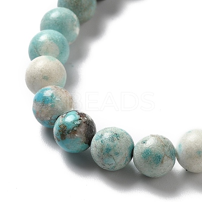 Natural Magnesite Beads Strands G-L555-02B-02-1