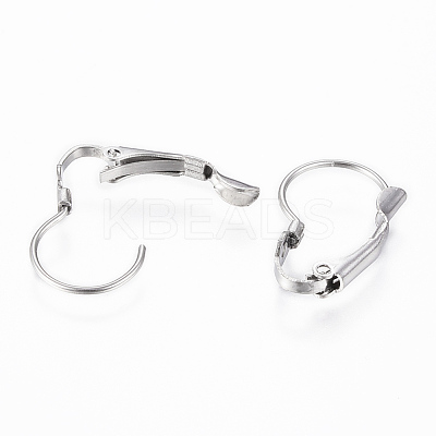 Tarnish Resistant 304 Stainless Steel Leverback Earring Findings STAS-G161-20B-1