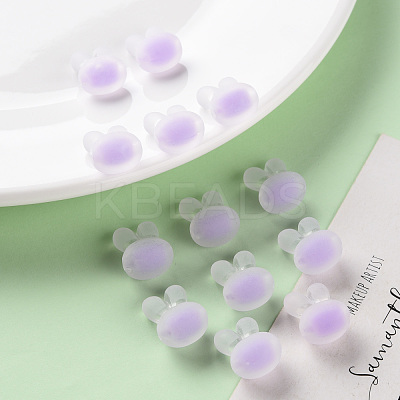 Transparent Acrylic Beads TACR-S152-12C-SS2114-1