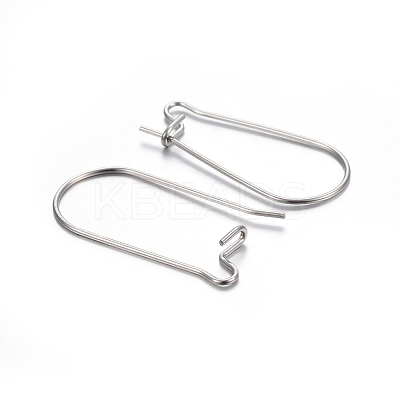 Non-Tarnish 304 Stainless Steel Hoop Earring Findings STAS-P223-01P-06-1