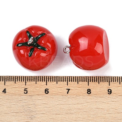 Oapaque Resin Pendants RESI-S025-01P-01-1