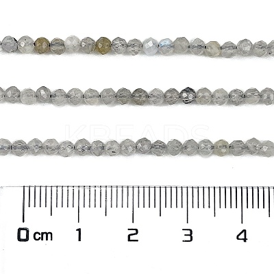 Natural Labradorite Beads Strands LS-G-I341-11A-1