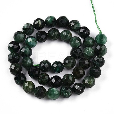 Natural Fuchsite Beads Strands G-T140-20C-1