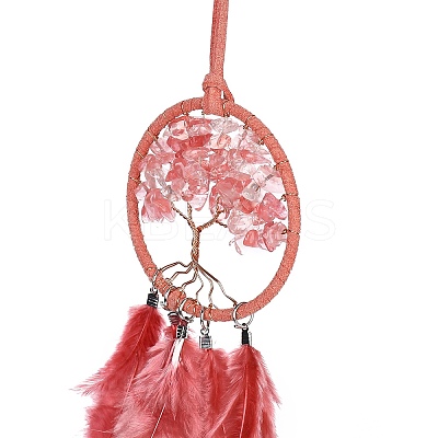 Iron Woven Web/Net with Feather Pendant Decorations LS-AJEW-P097-11-1