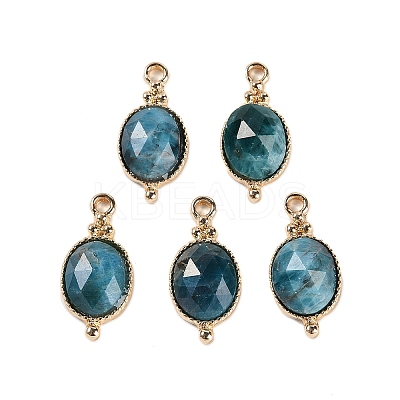 Natural & Synthetic Mixed Gemstone Faceted Pendans KK-L218-003G-M-1