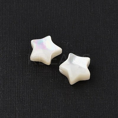 Natural White Shell Beads SHEL-R100-06A-1