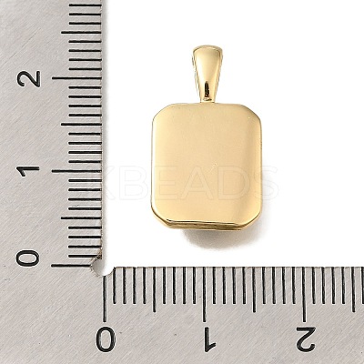 Brass Pendants KK-K388-41G-1