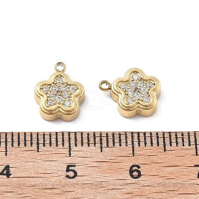 304 Stainless Steel Micro Pave Cubic Zirconia Charms STAS-Z121-46G-1