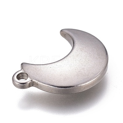 Tarnish Resistant 304 Stainless Steel Charms STAS-H119-04P-1