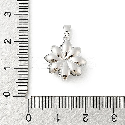 Brass Pendants KK-E791-11P-1