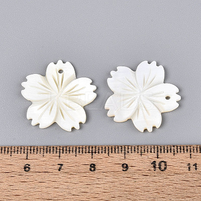 Natural Freshwater Shell Carved Pendants SHEL-N038-35-1