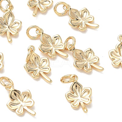 SHEGRACE Brass Charms XGRQ3D271-460G-1