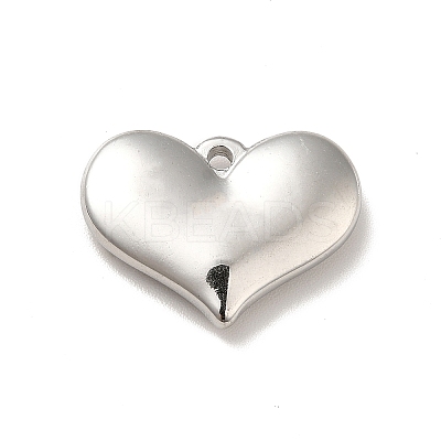 Non-Tarnish 304 Stainless Steel Pendants LS-STAS-E176-01P-1