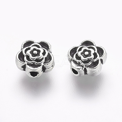 Tibetan Style Alloy Beads LF0590Y-NF-1