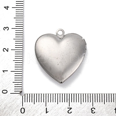304 Stainless Steel Pendants STAS-S171-13P-08-1