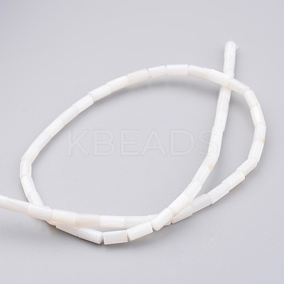 Natural Shell Bead Strands X-BSHE-P016-05-1