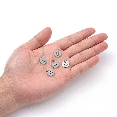 Non-Tarnish 304 Stainless Steel Charms STAS-Q201-T445-5S-1