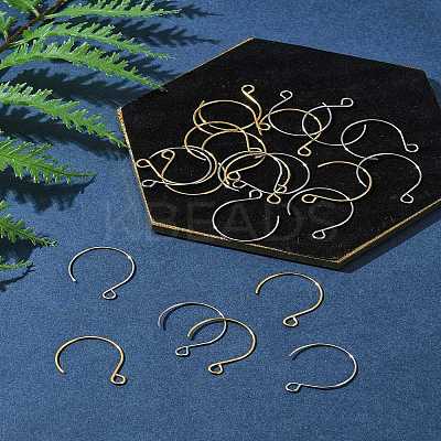 24Pcs 2 Colors Ion Plating(IP) 304 Stainless Steel Earring Hooks STAS-FS0001-65-1