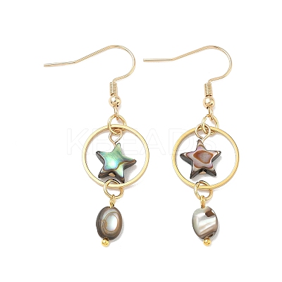Natural Paua Shell & Stainless Steel Dangle Earrings for Women EJEW-JE07076-01-1