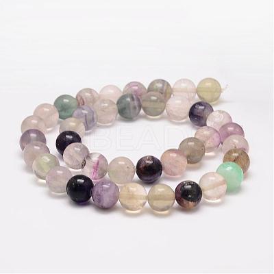 Natural Fluorite Bead Strands G-K153-B36-10mm-1